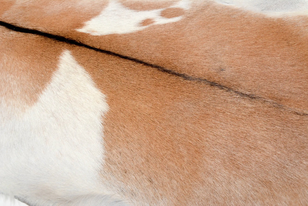 Tan and white goat skin rug #029 close up