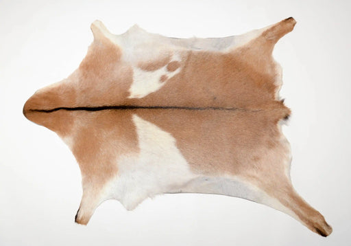 Pretty tan and white goat skin rug #029