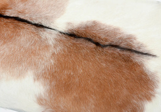 Roan brown and white goatskin rug close up