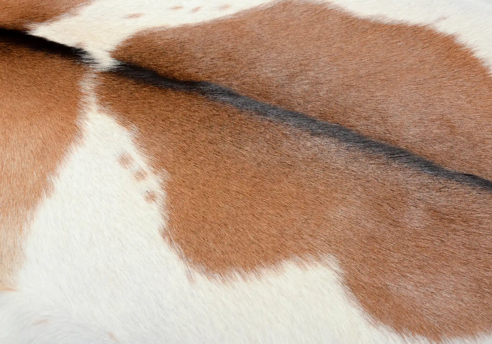 Goatskin rug in brown and white #034