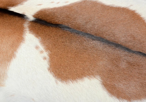 Goatskin rug in brown and white #034
