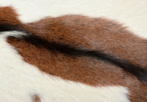 Premium goat skin rug #035 close up