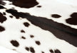 Goatskin rug black and white #049 detail