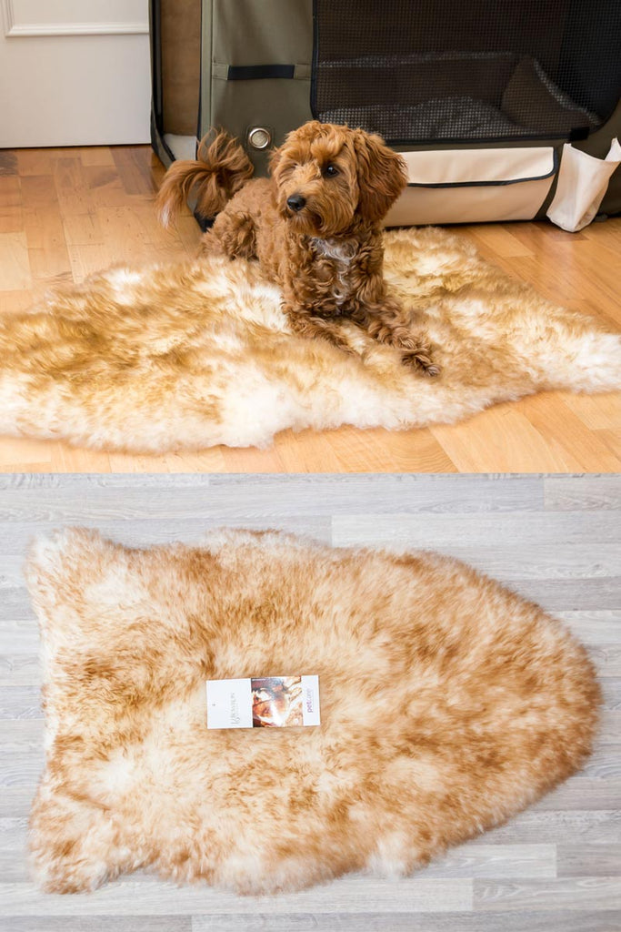 Sheepskin blanket hot sale for dogs